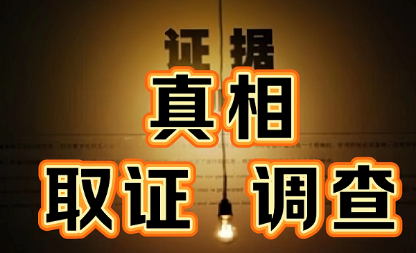 婚姻调查取证