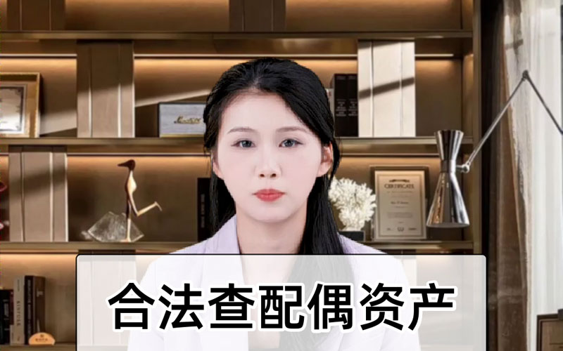 查询配偶资产